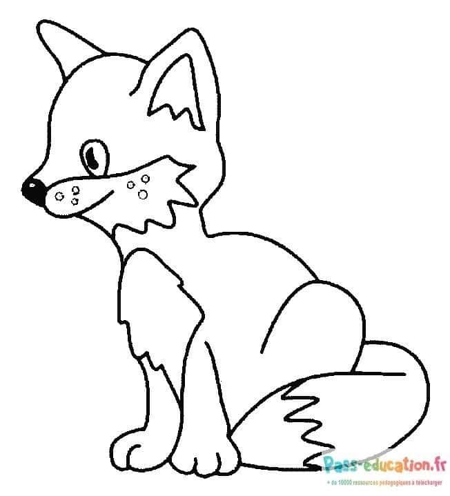 Coloriage Renard attentif à imprimer et colorier
