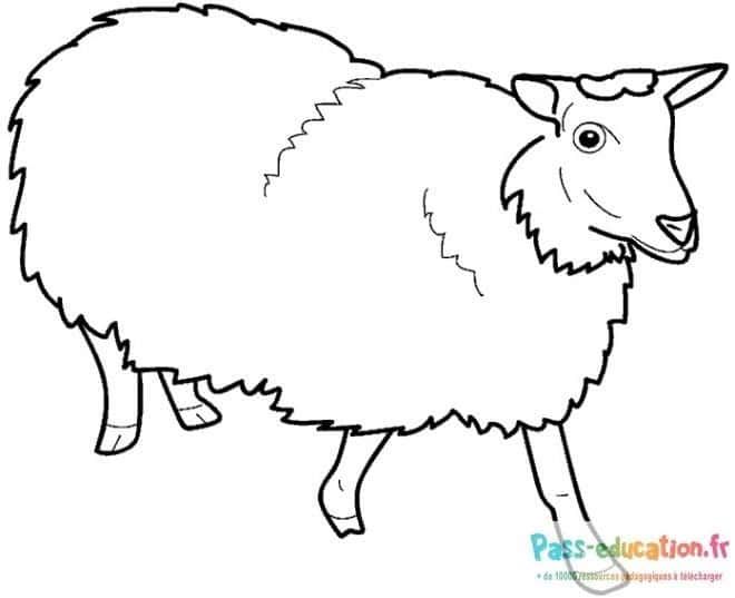 Coloriage Mouton souriant à imprimer et colorier