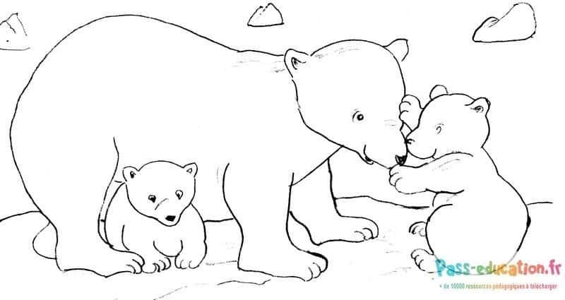 Coloriage Famille ours polaire à imprimer et colorier