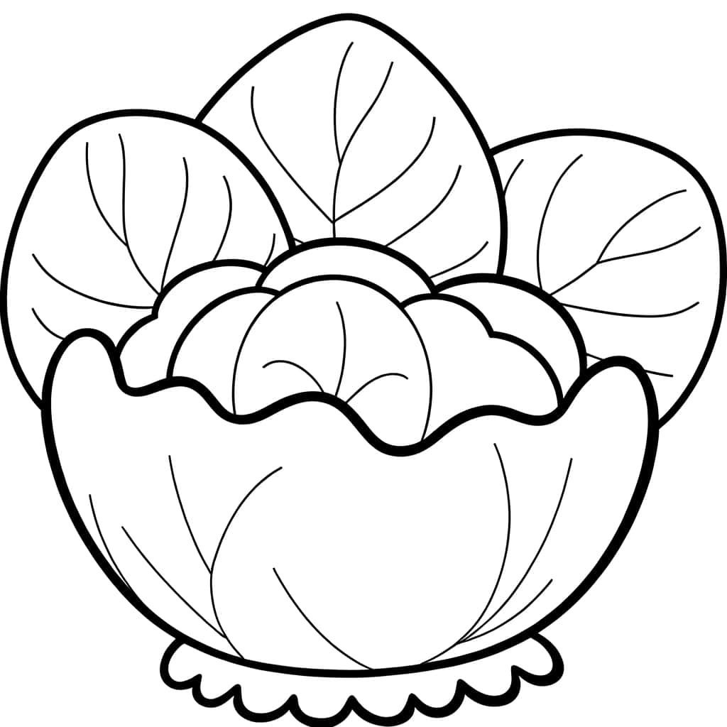 Coloriage Dessin de chou à imprimer et colorier