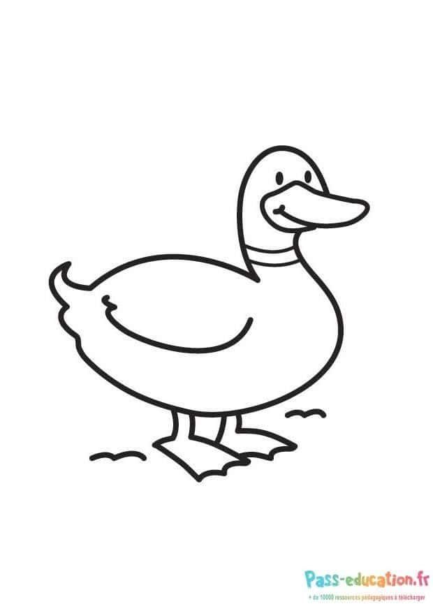 Coloriage Canard souriant à imprimer et colorier