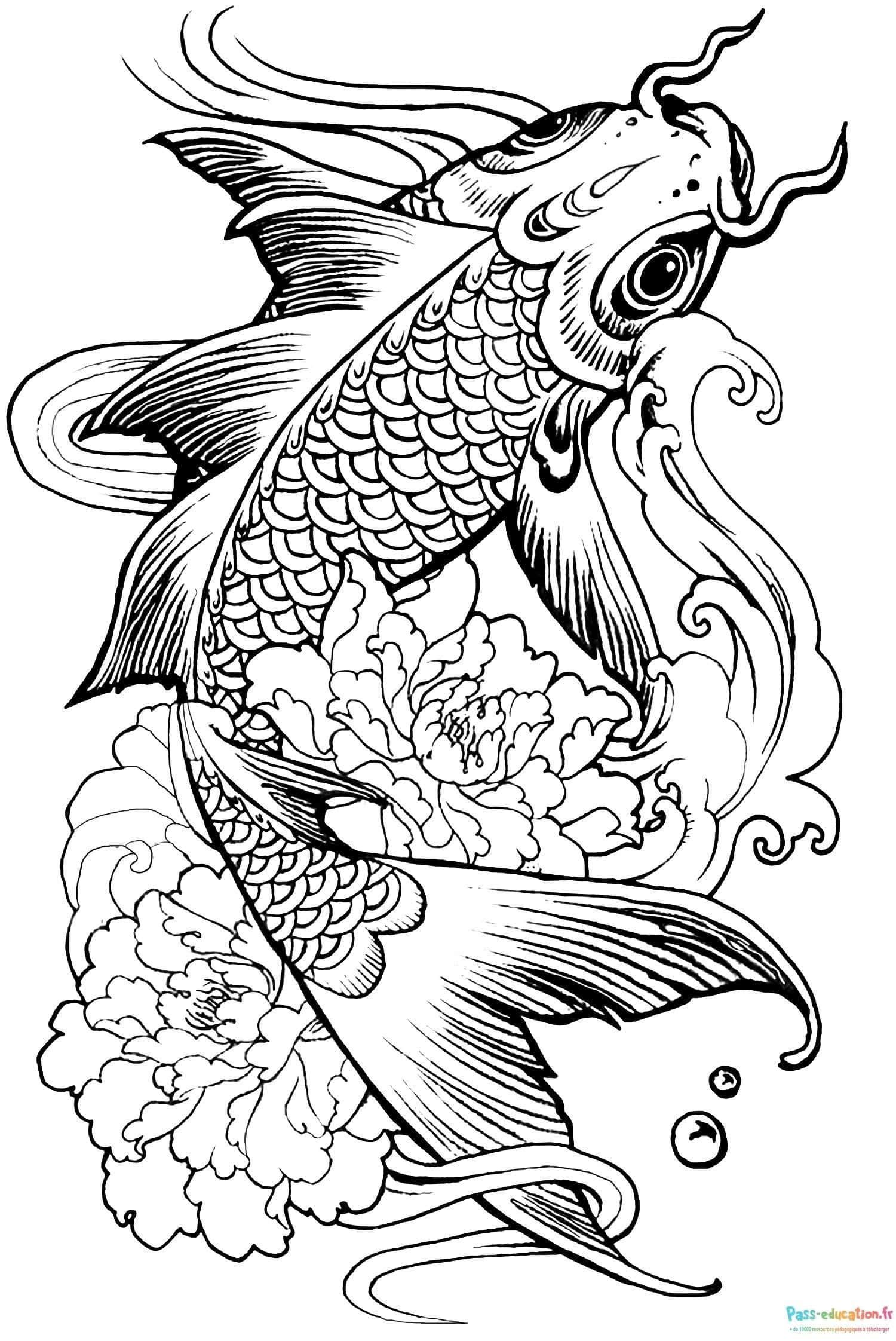 Coloriage Poisson koi japonais à imprimer et colorier