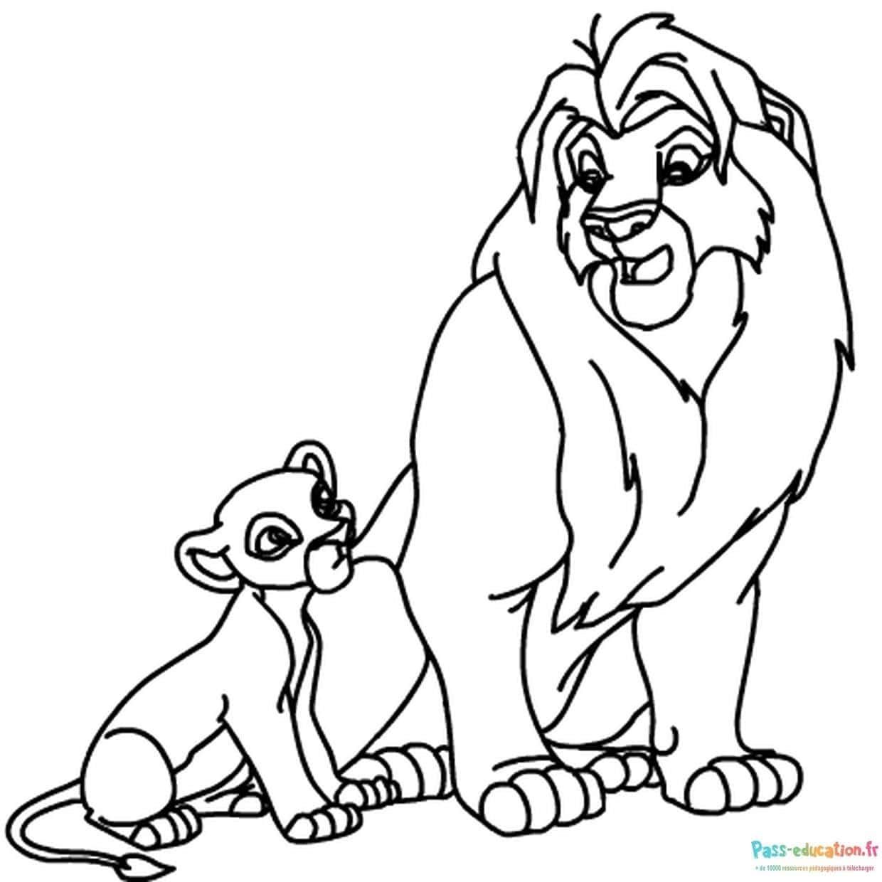 Coloriage Duo lionceau et lion à imprimer et colorier