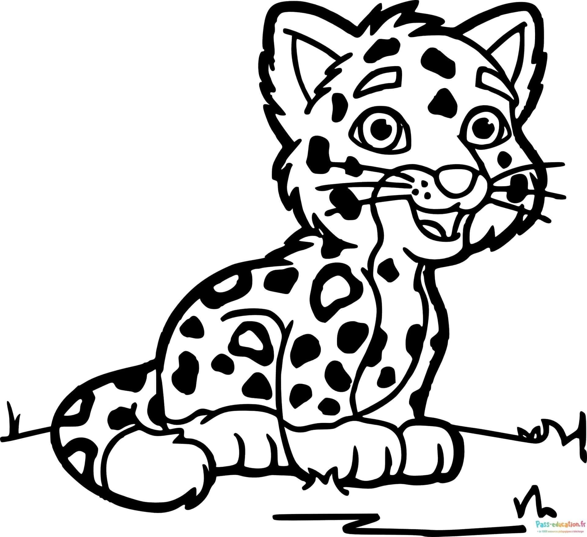 Coloriage Guépard attentif à imprimer et colorier