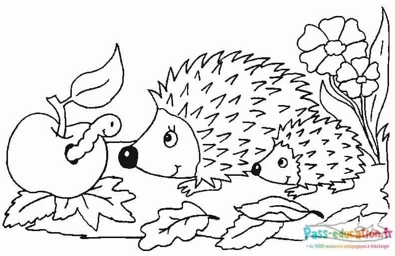Coloriage Hérissons et pomme à imprimer et colorier