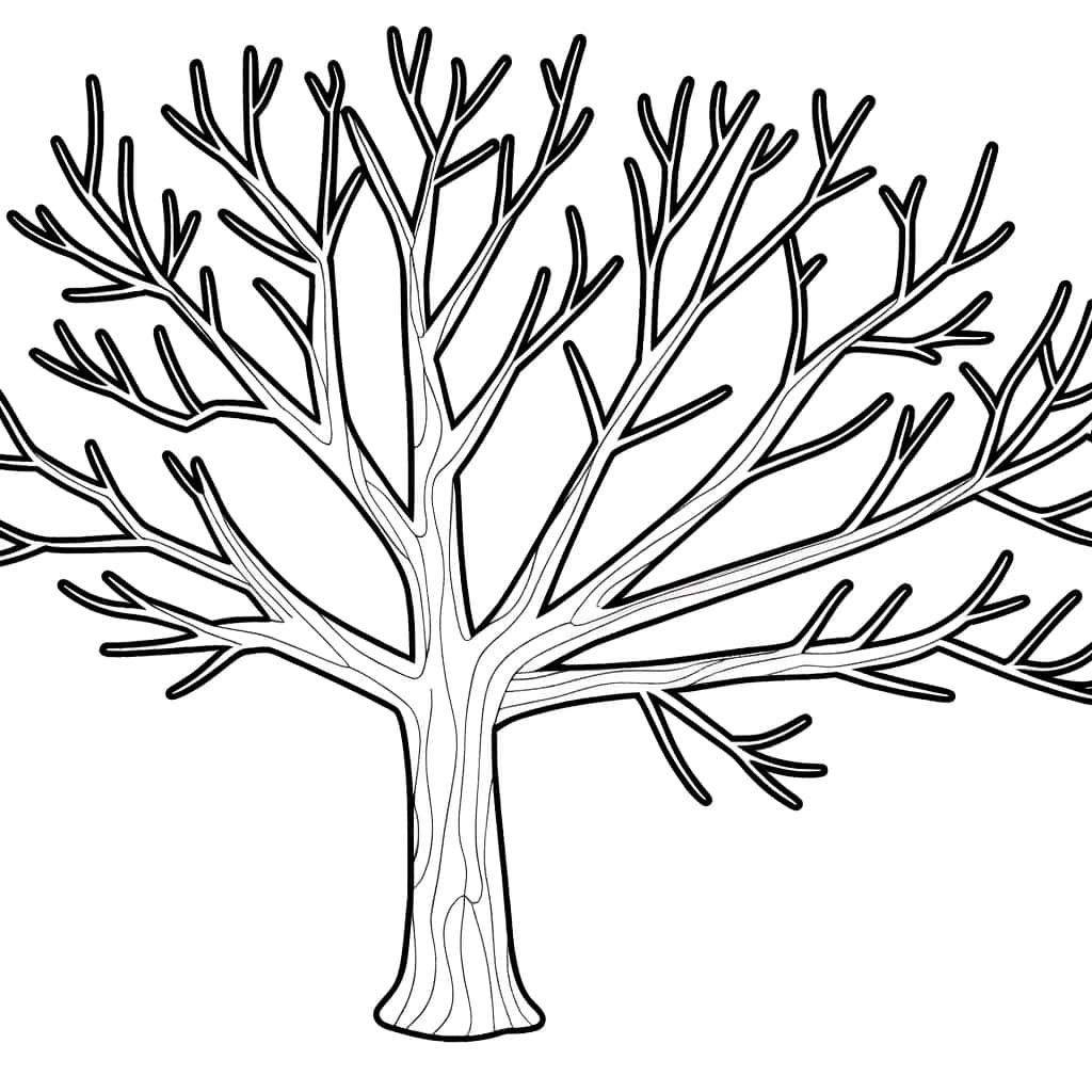 Coloriage Arbre Nu à imprimer et colorier