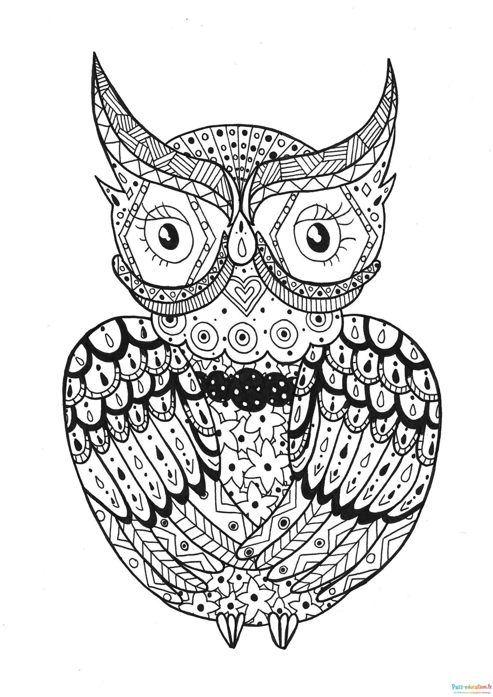 Coloriage Hibou Mandala à imprimer et colorier