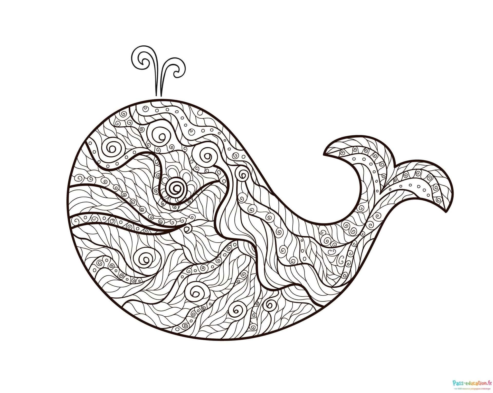 Coloriage Baleine ornée à imprimer et colorier