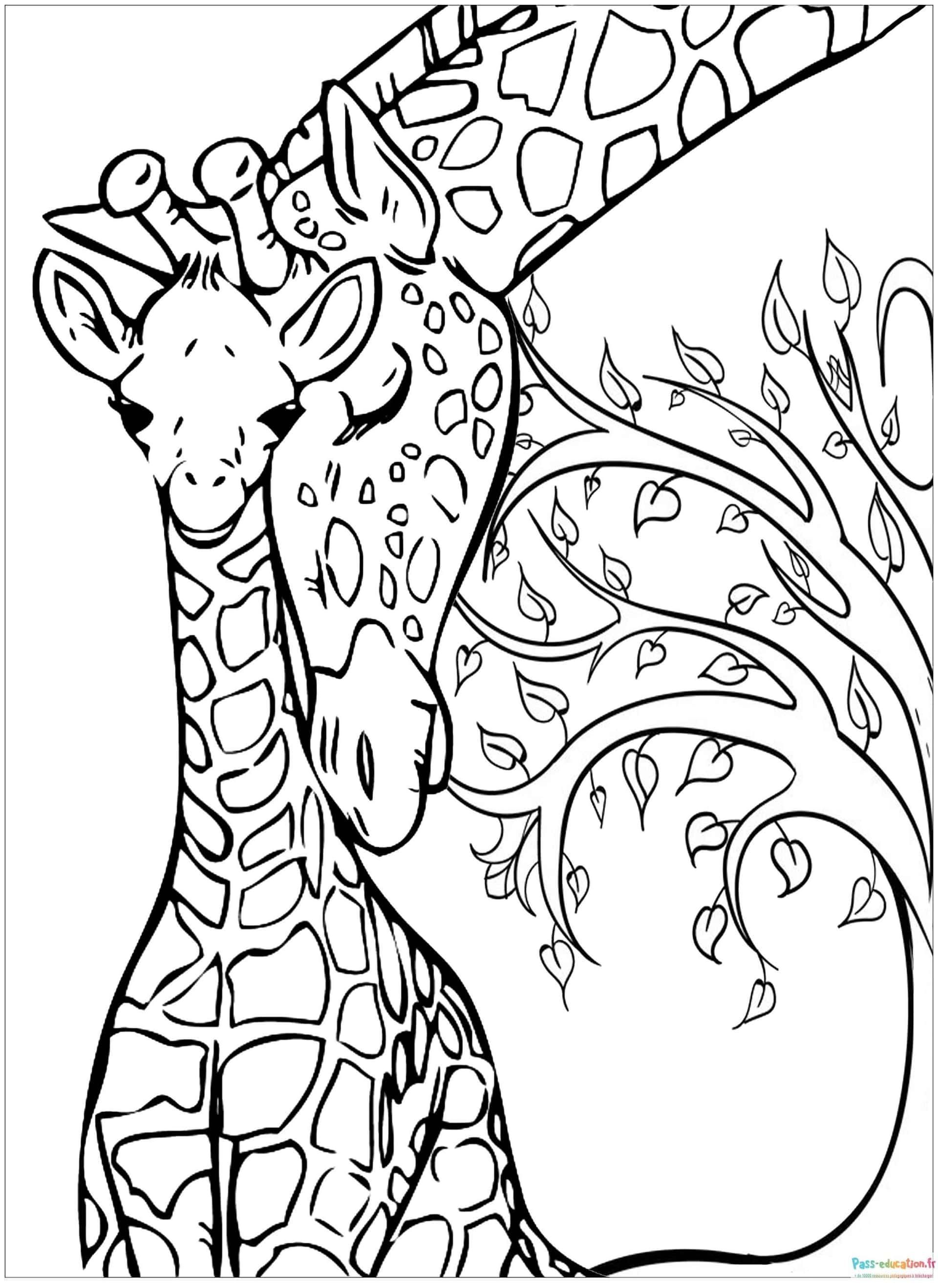 Coloriage Girafe amicale à imprimer et colorier