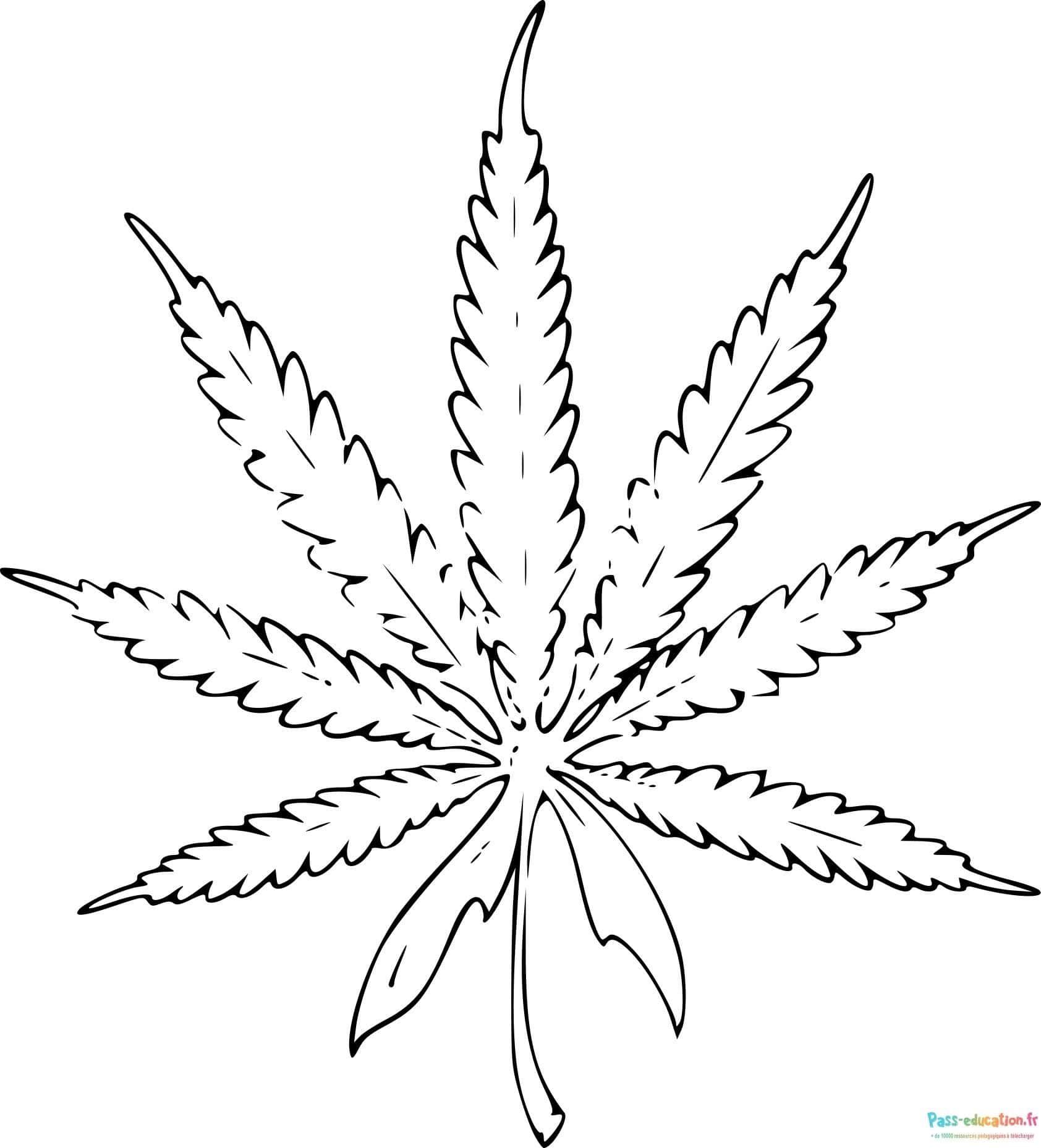 Coloriage Feuille de cannabis à imprimer et colorier