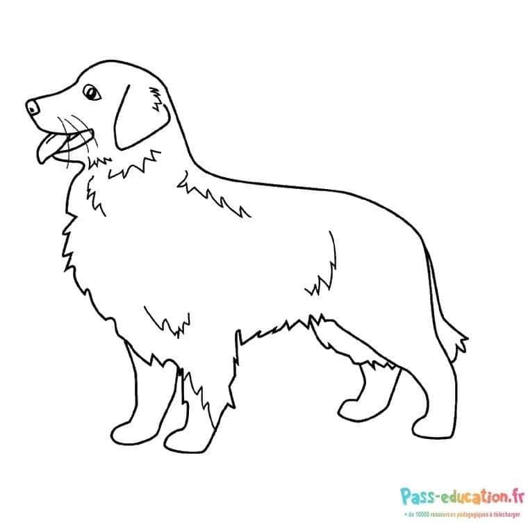 Coloriage Chien joyeux à imprimer et colorier