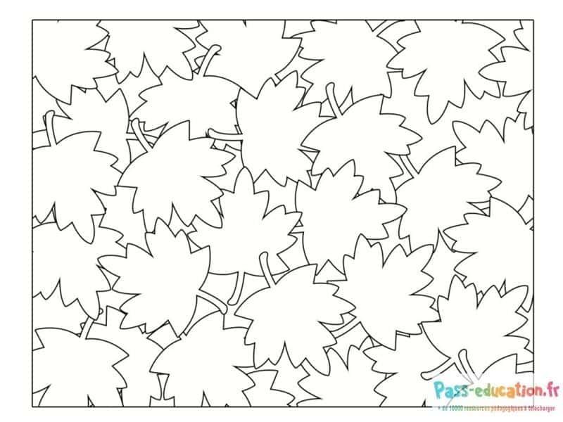 Coloriage Feuilles d'automne à imprimer et colorier