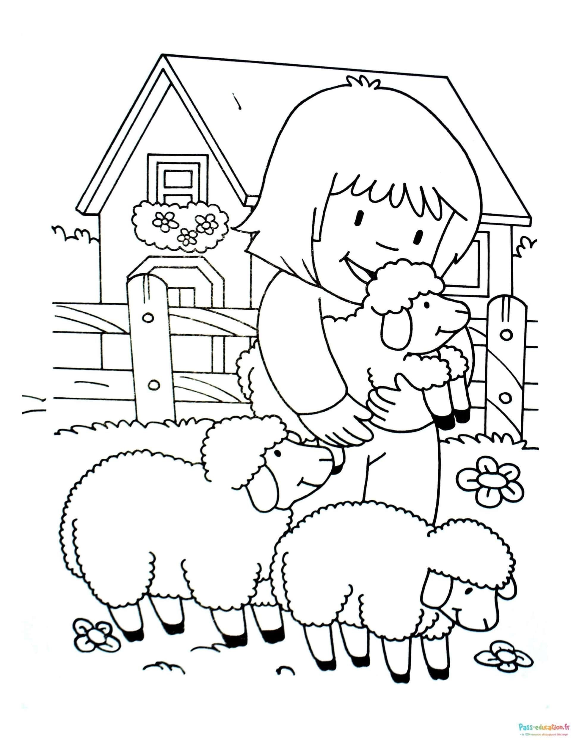 Coloriage Fille et moutons à imprimer et colorier