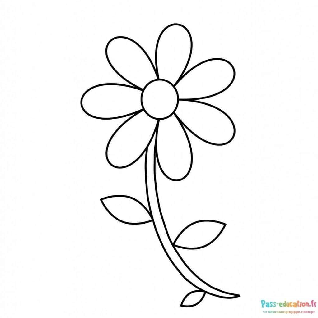 Coloriage Fleur simple à imprimer et colorier