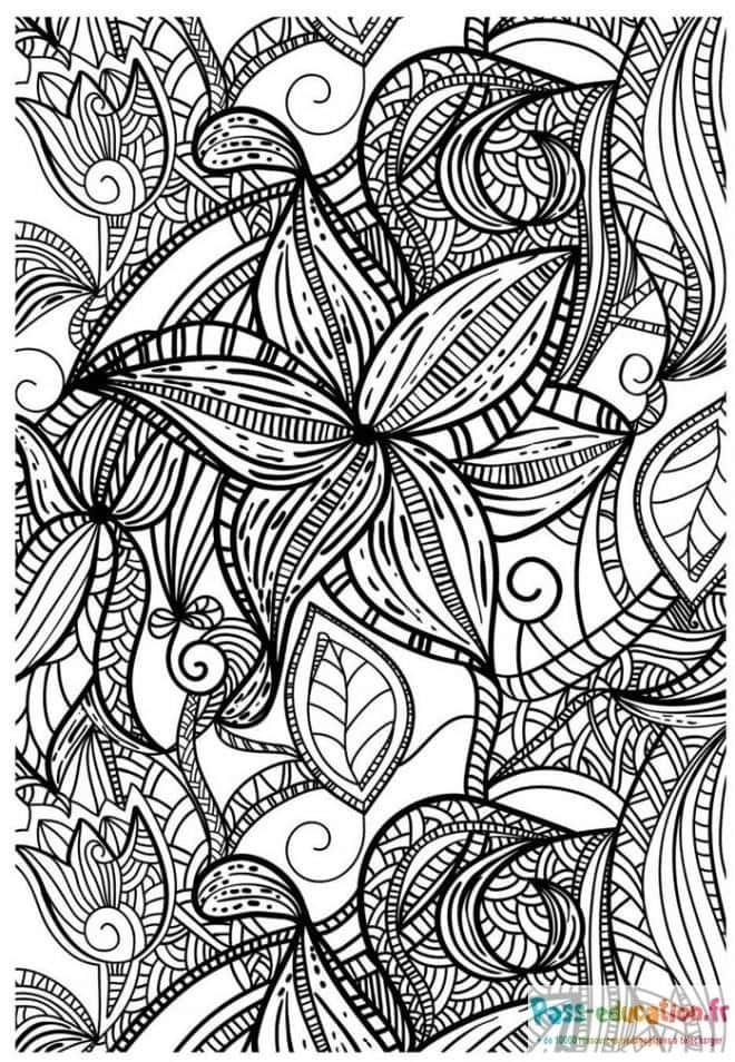Coloriage Fleurs entrelacées à imprimer et colorier