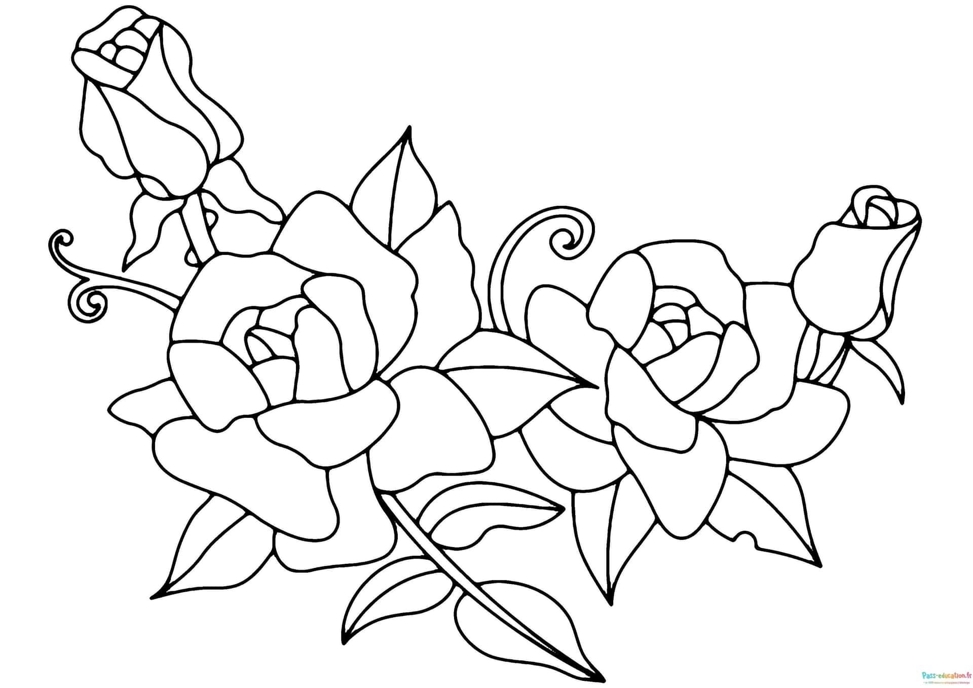 Coloriage Bouquet de roses à imprimer et colorier