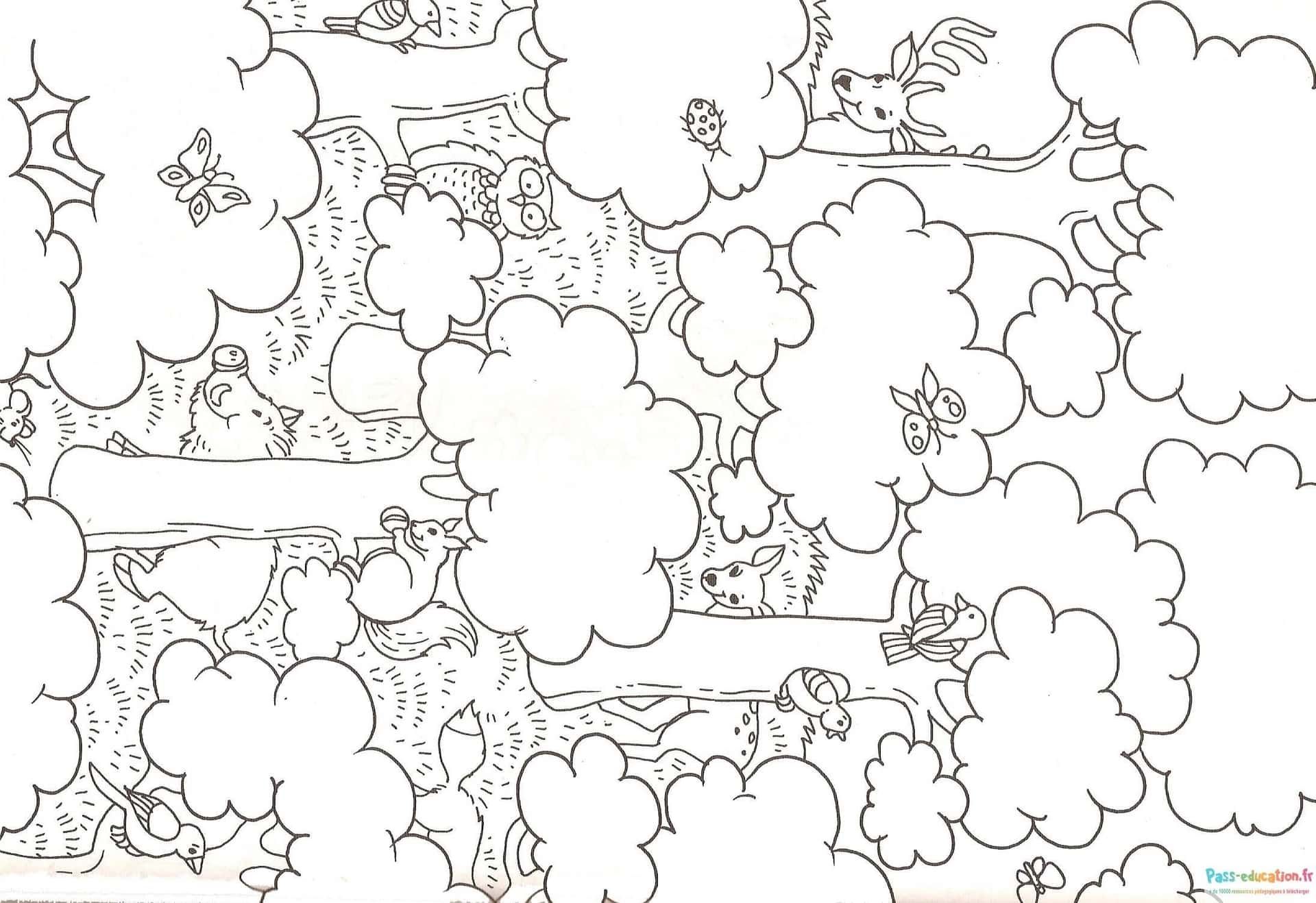 Coloriage Forêt animée à imprimer et colorier