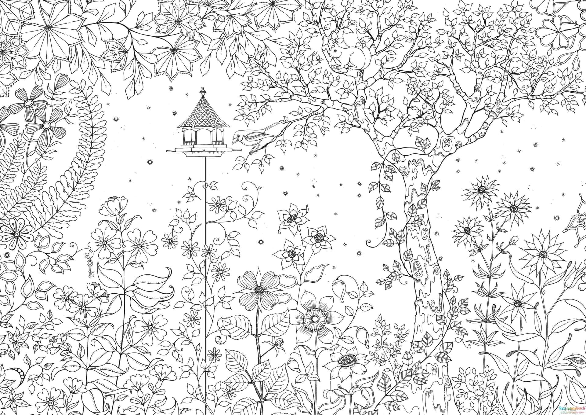 Coloriage Jardin enchanté à imprimer et colorier