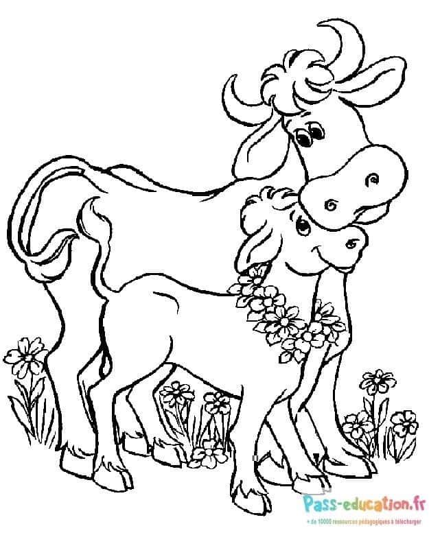 Coloriage Vaches affectueuses à imprimer et colorier