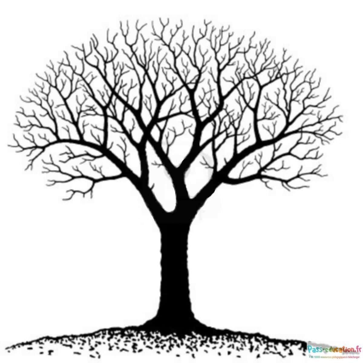 Coloriage Arbre sans feuilles à imprimer et colorier