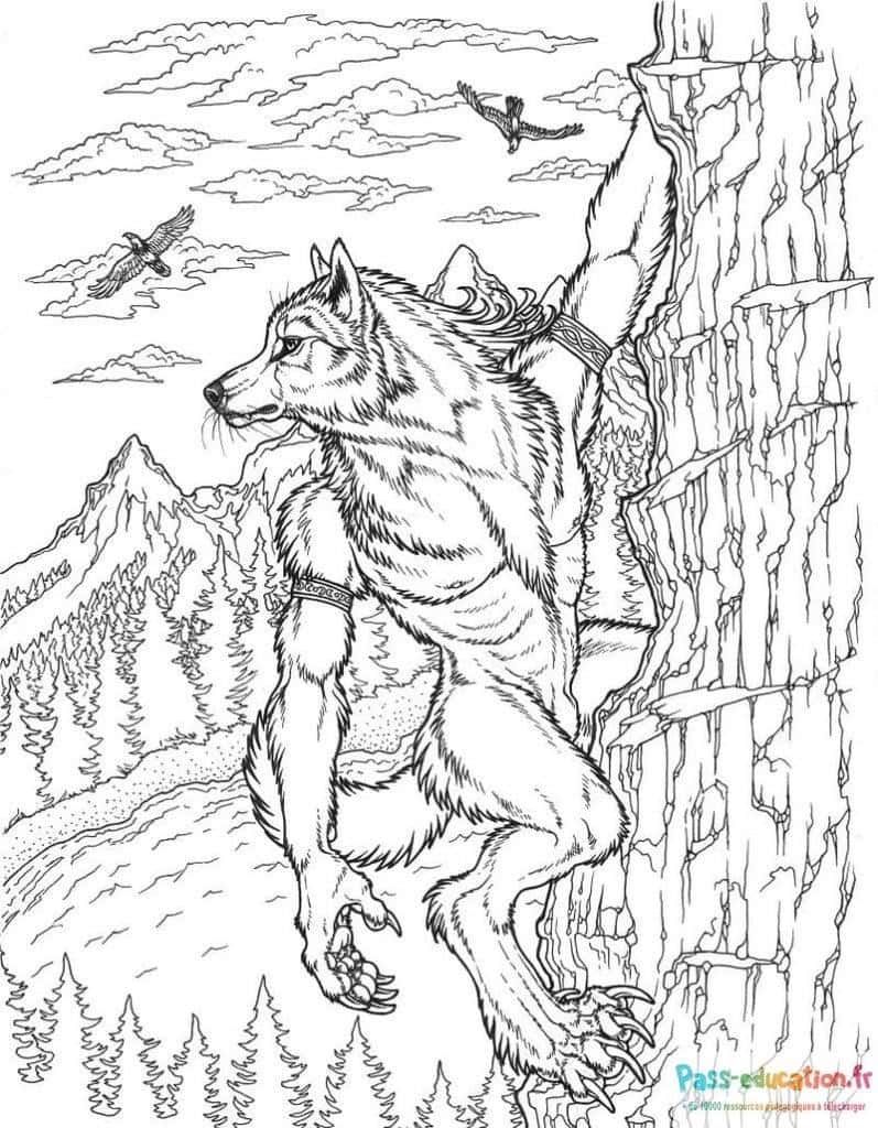 Coloriage Loup Garou sur Falaise à imprimer et colorier