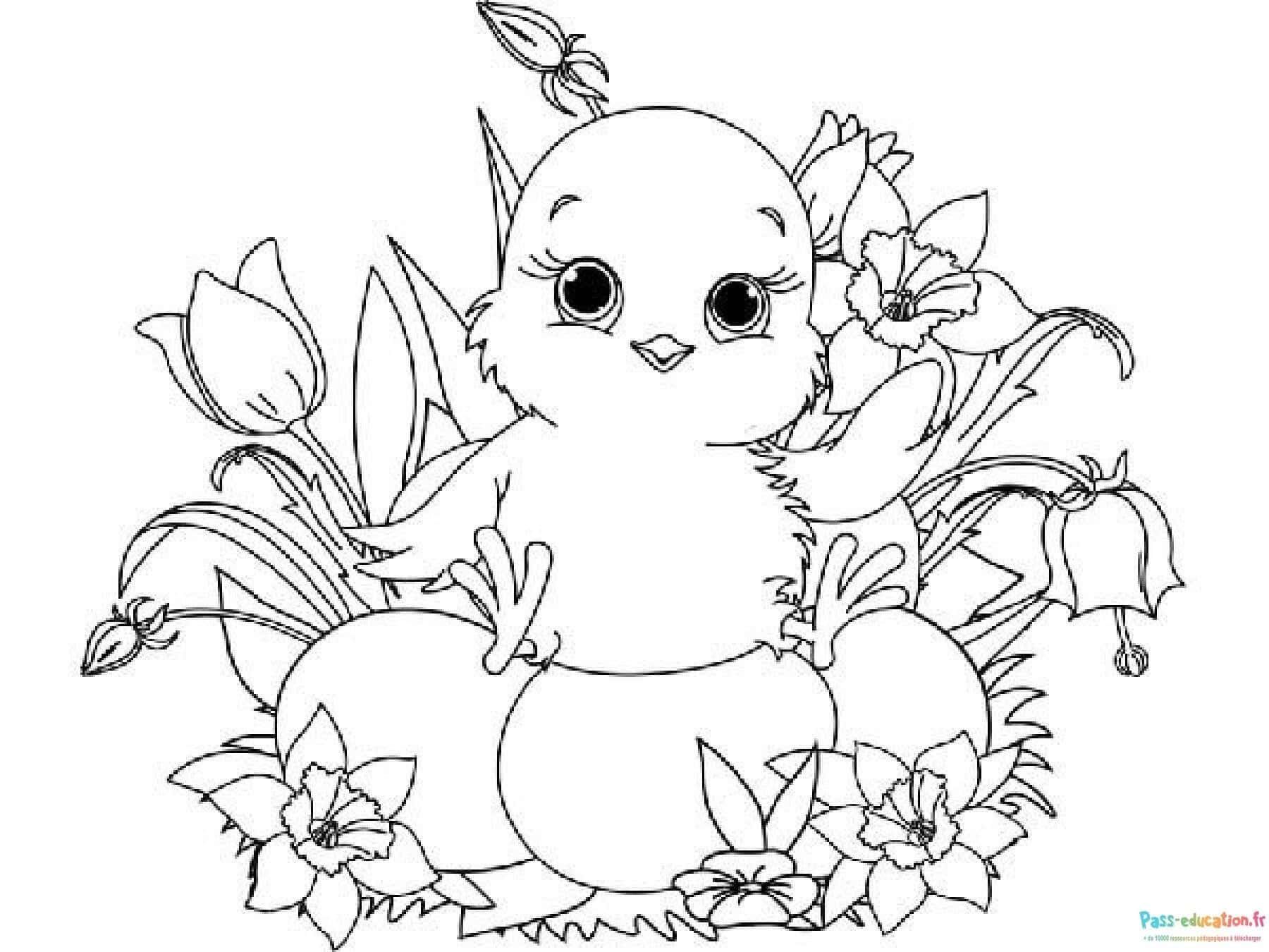 Coloriage Poussin fleuri à imprimer et colorier