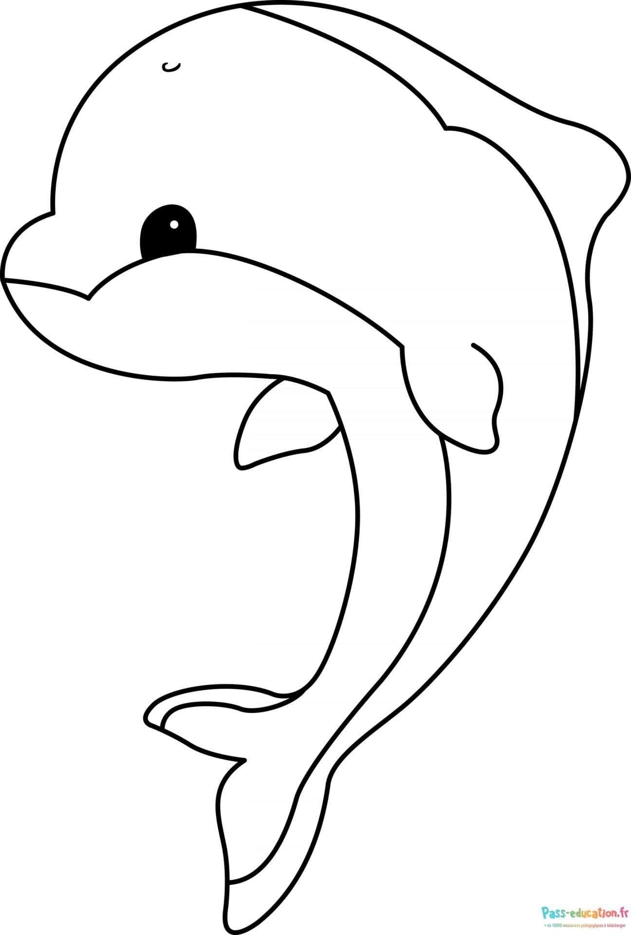 Coloriage Dauphin souriant à imprimer et colorier
