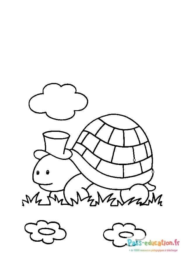 Coloriage Tortue élégante à imprimer et colorier