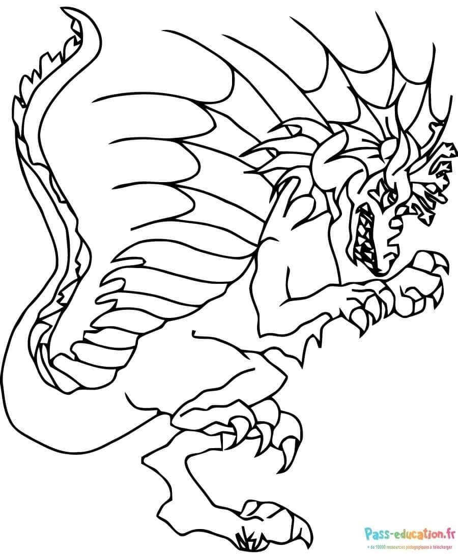 Coloriage Dragon féroce à imprimer et colorier