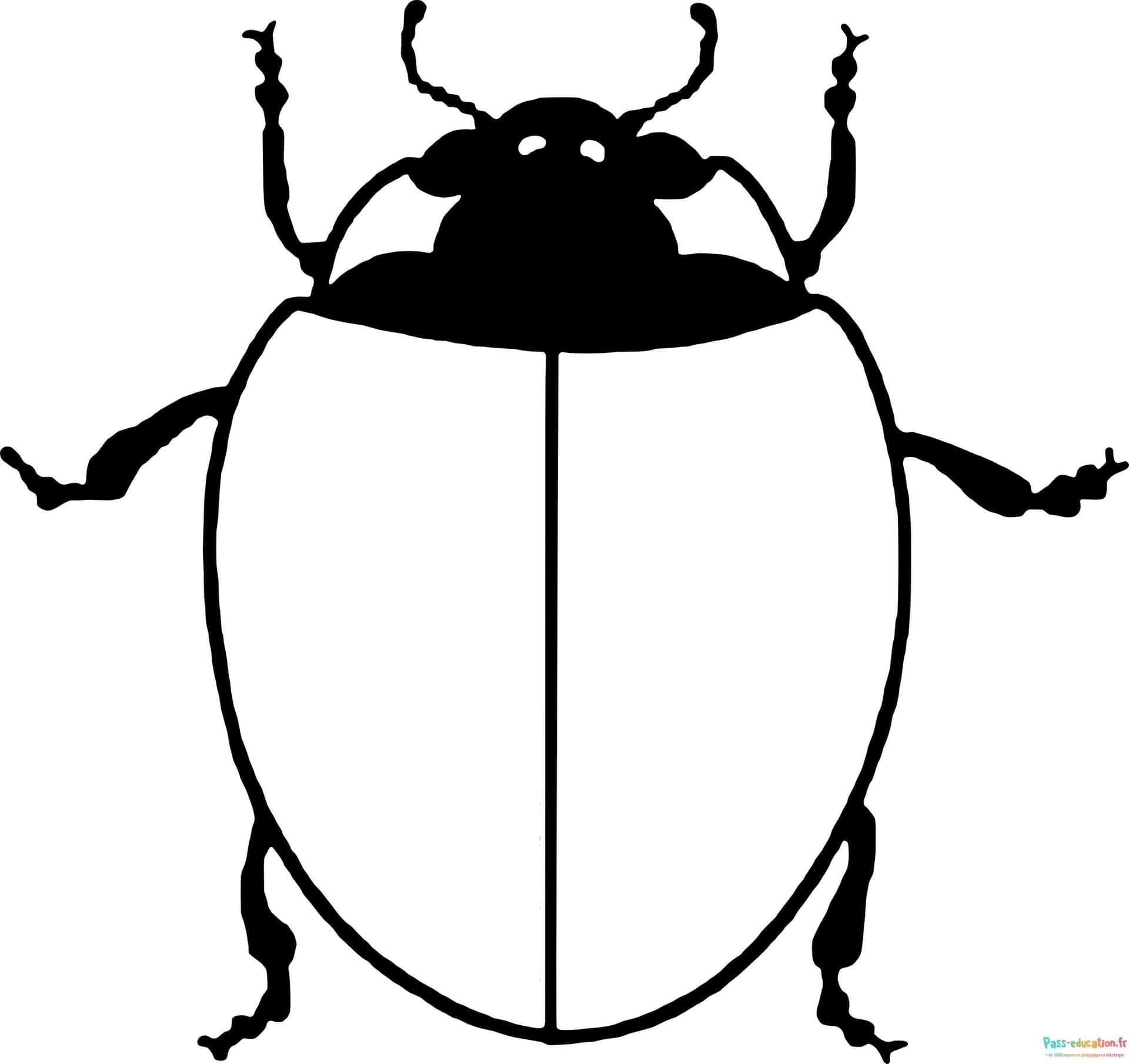 Coloriage Coccinelle joyeuse à imprimer et colorier