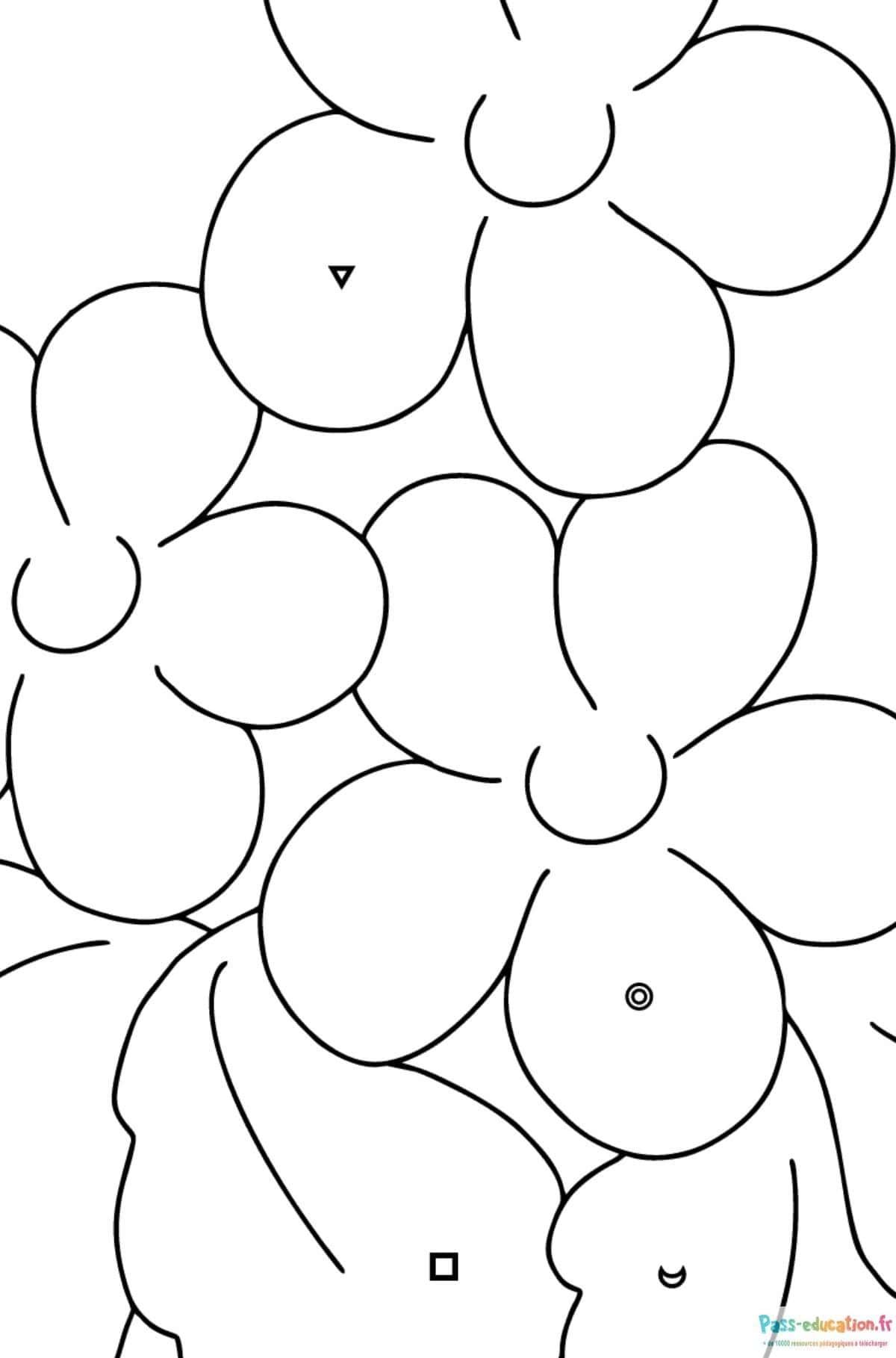Coloriage Fleurs printanières à imprimer et colorier
