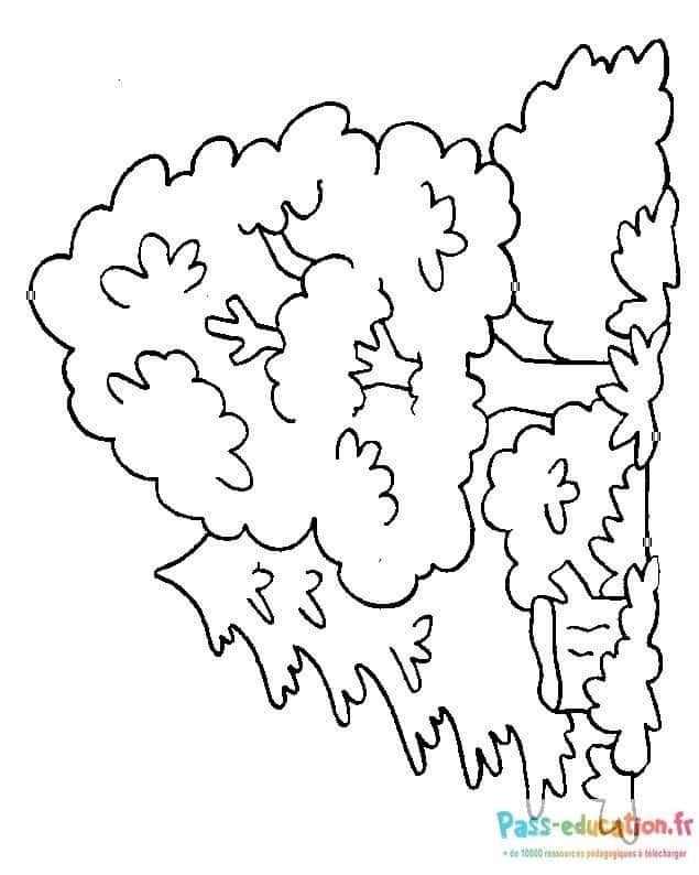 Coloriage Feuilles d'arbres à imprimer et colorier