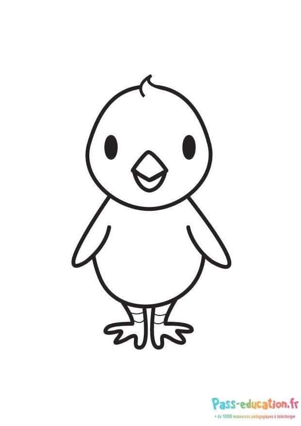 Coloriage Poussin mignon à imprimer et colorier