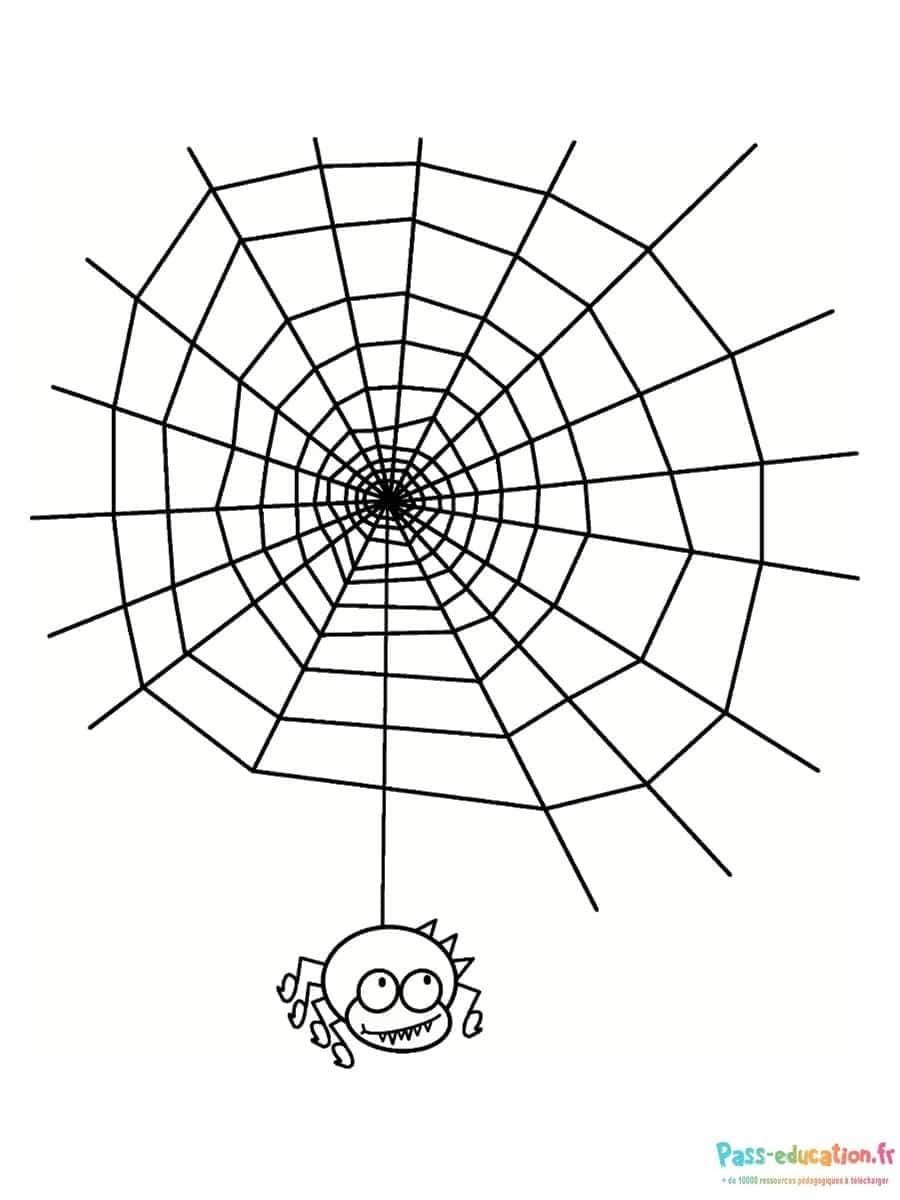 Coloriage Toile d'araignée à imprimer et colorier