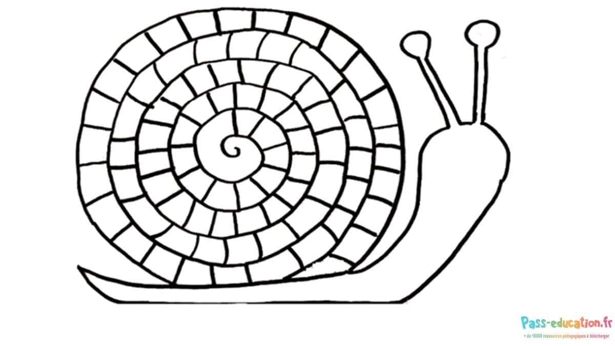 Coloriage Escargot à imprimer et colorier