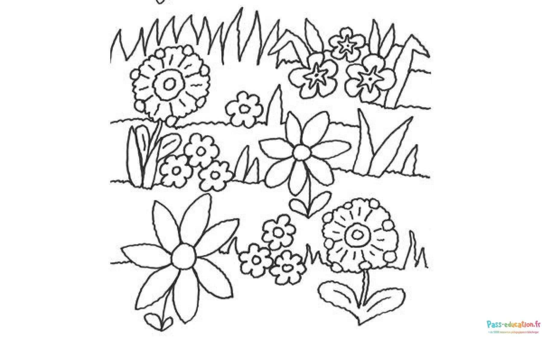 Coloriage Jardin fleuri à imprimer et colorier