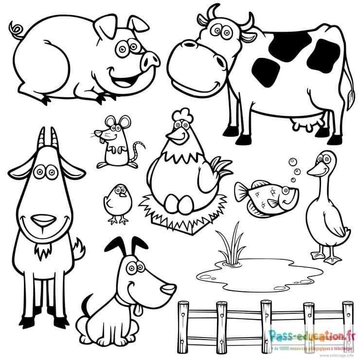 Coloriage Animaux de la ferme à imprimer et colorier