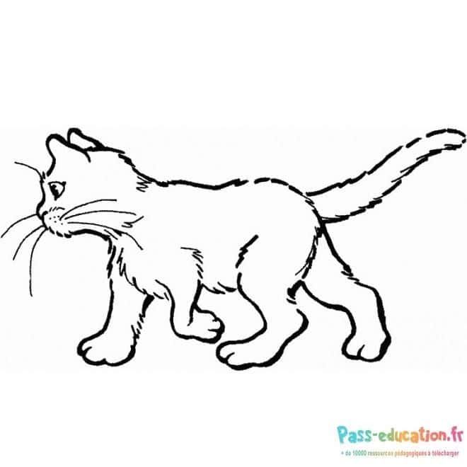 Coloriage Chat en mouvement à imprimer et colorier