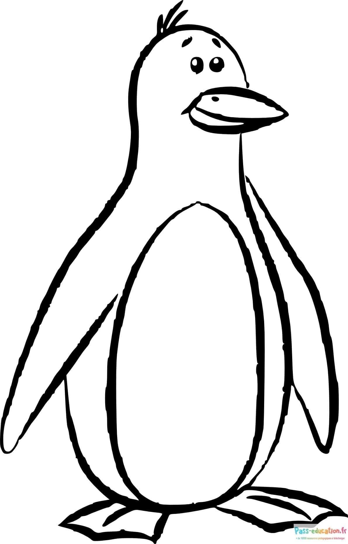Coloriage Pingouin joyeux à imprimer et colorier