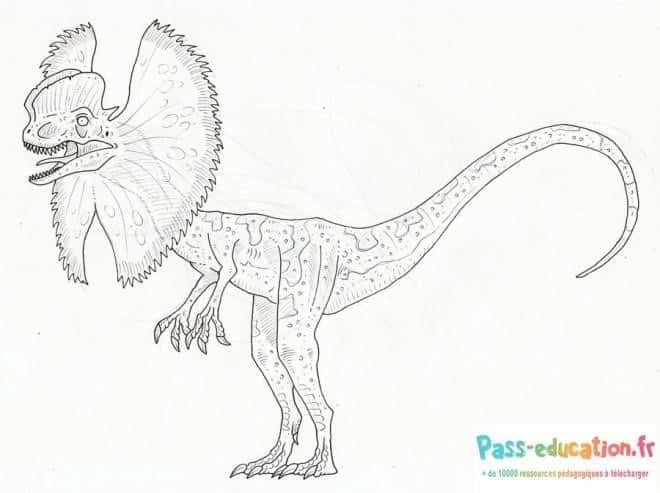 Coloriage Dinosaure à crête à imprimer et colorier