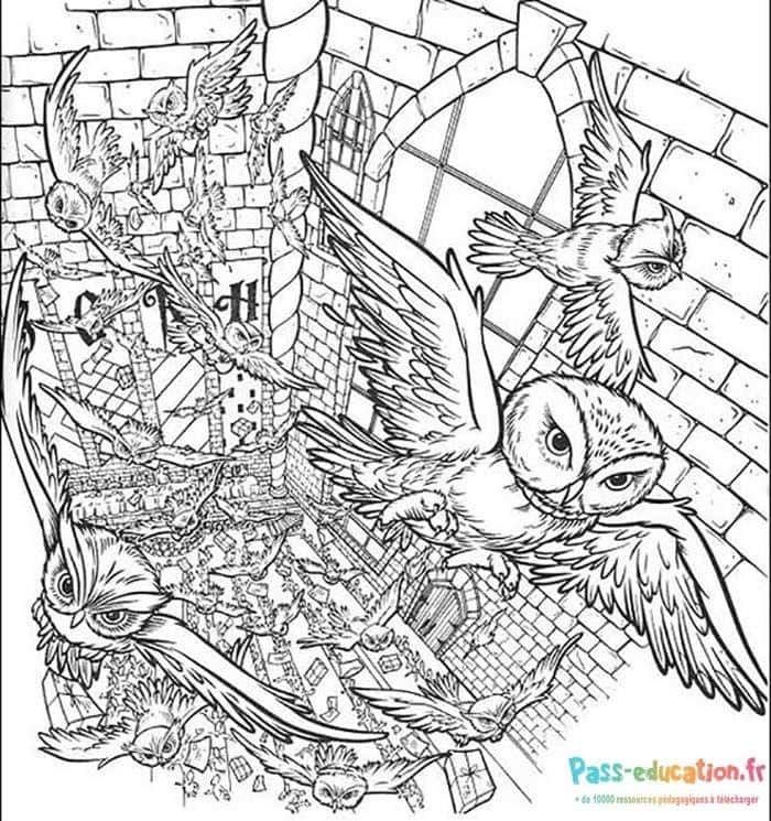 Coloriage Vol de hiboux à Poudlard à imprimer et colorier
