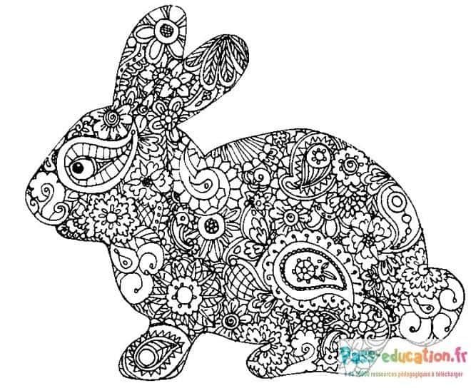 Coloriage Lapin mandala à imprimer et colorier