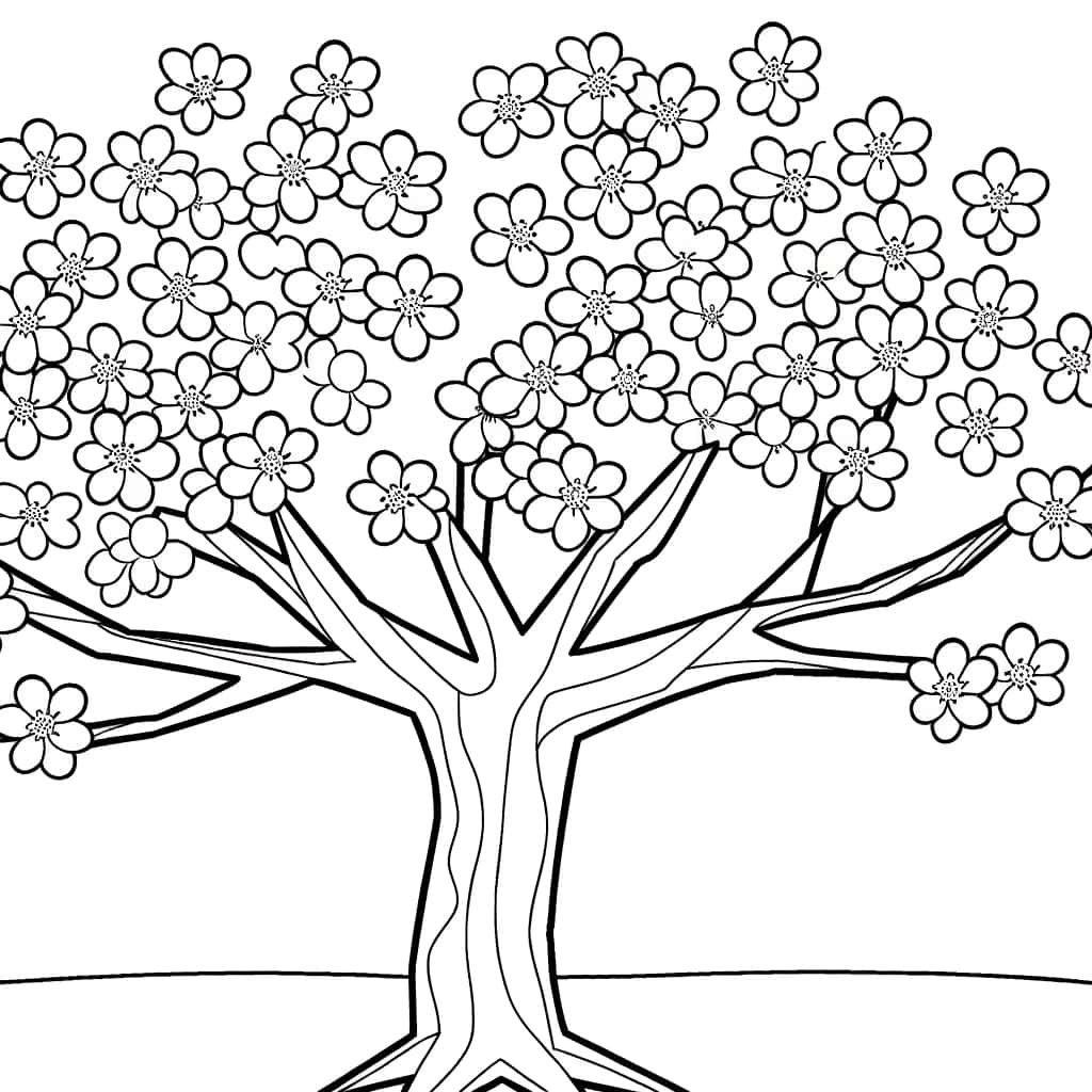 Coloriage Cerisier du Japon à imprimer et colorier