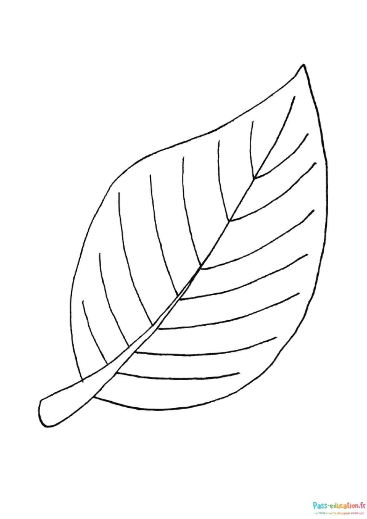 Coloriage Feuille dessinée à imprimer et colorier