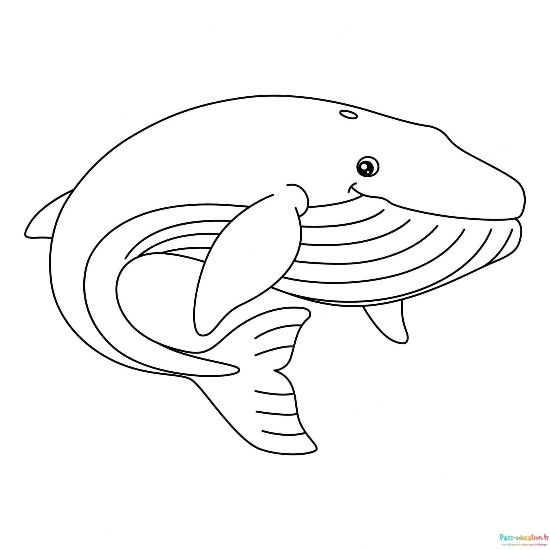 Coloriage Baleine souriante à imprimer et colorier