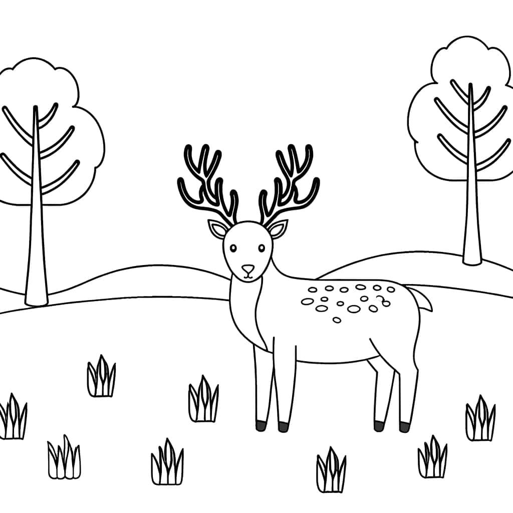 Coloriage Cerf dans la nature à imprimer et colorier