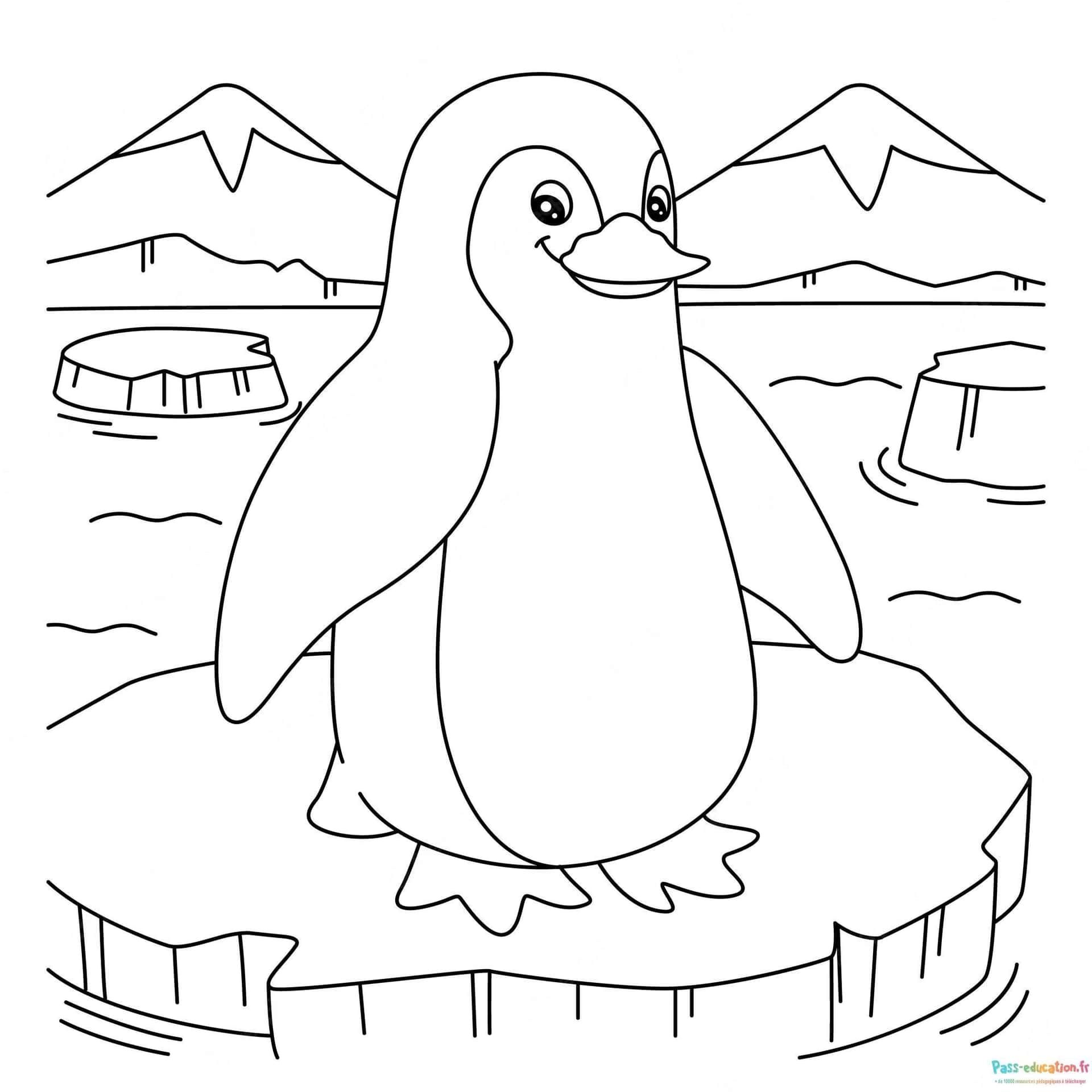 Coloriage Pingouin sur glace à imprimer et colorier