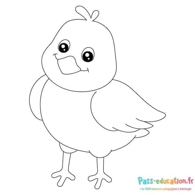 Coloriage Poussin joyeux à imprimer et colorier