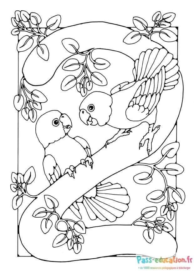 Coloriage Perroquets amoureux à imprimer et colorier