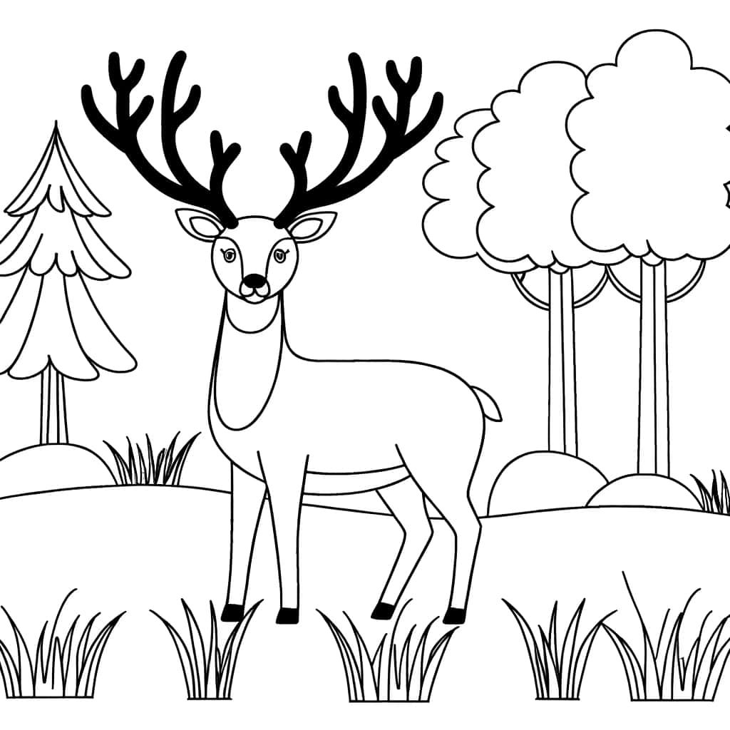 Coloriage Cerf dans la forêt à imprimer et colorier